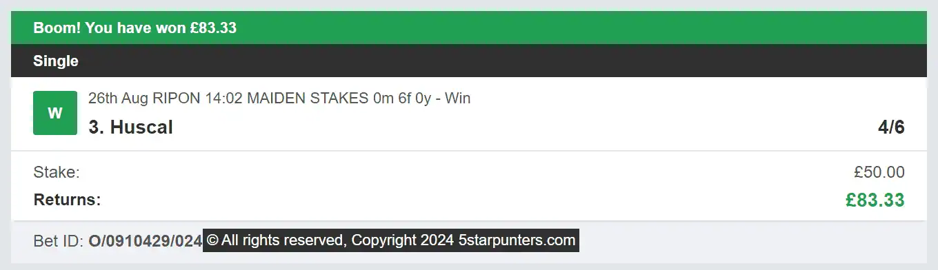 5 Star Punters - Winner 1 - 2024-08-26